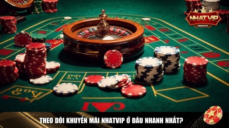 theo doi khuyen mai Theo dõi khuyến mãi Nhatvip nhanh nhất